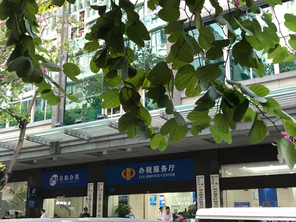 公司注册营业执照步骤教程大放送：广州广诚财税案例解说